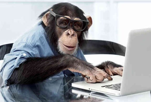 monkey-typing
